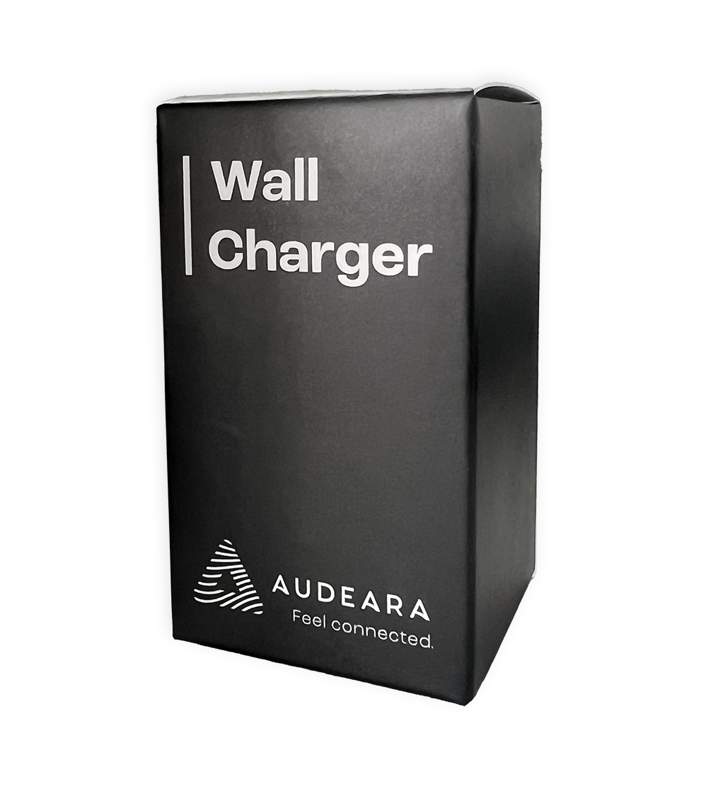 Wall Charger